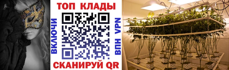 Где купить наркоту Иннополис ГАШИШ  Псилоцибиновые грибы  Амфетамин  LSD-25  Конопля  Меф 