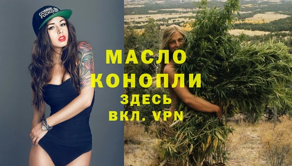 гидра Гусиноозёрск