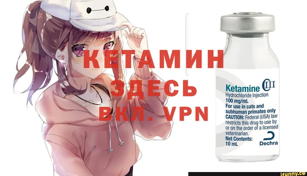 гидра Гусиноозёрск